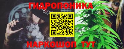 прущие грибы Сланцы