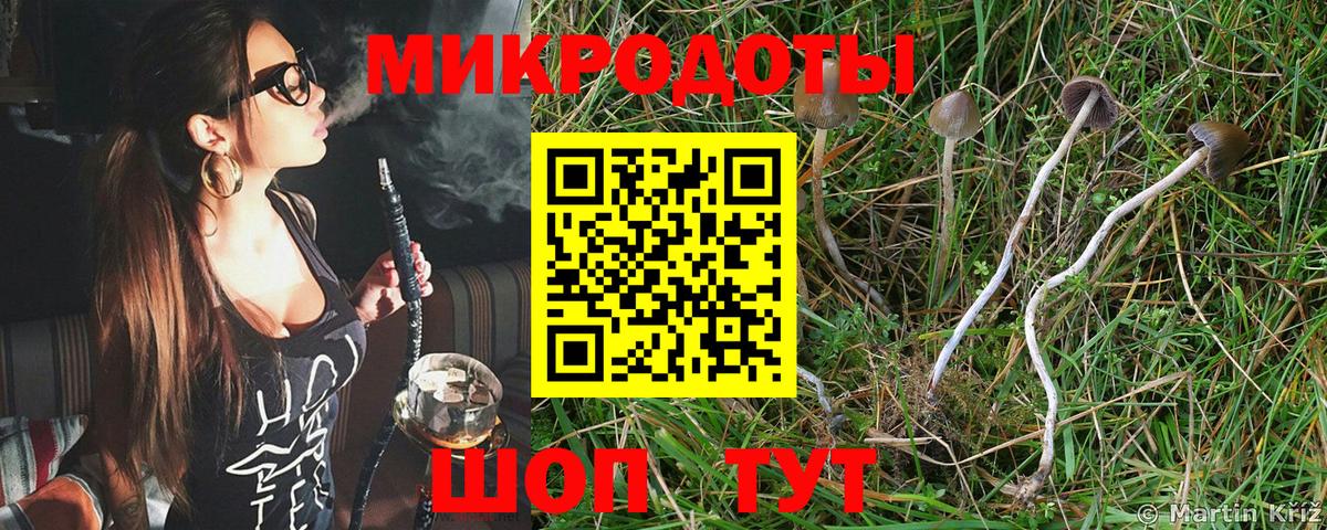 Галлюциногенные грибы прущие грибы Советск